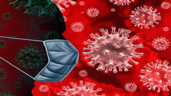 Corona Virus